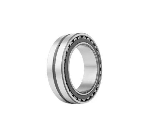 Cuscinetto a rullo RS PRO, 2 file , Ø int. 45mm, Ø est. 85mm, guida larga 23mm