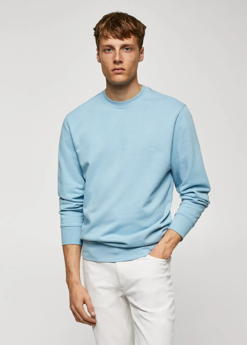 Felpa basic 100% cotone