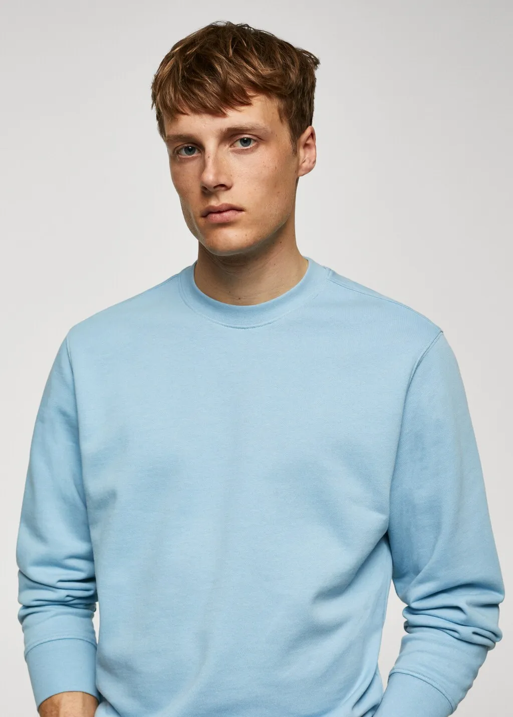 Felpa basic 100% cotone