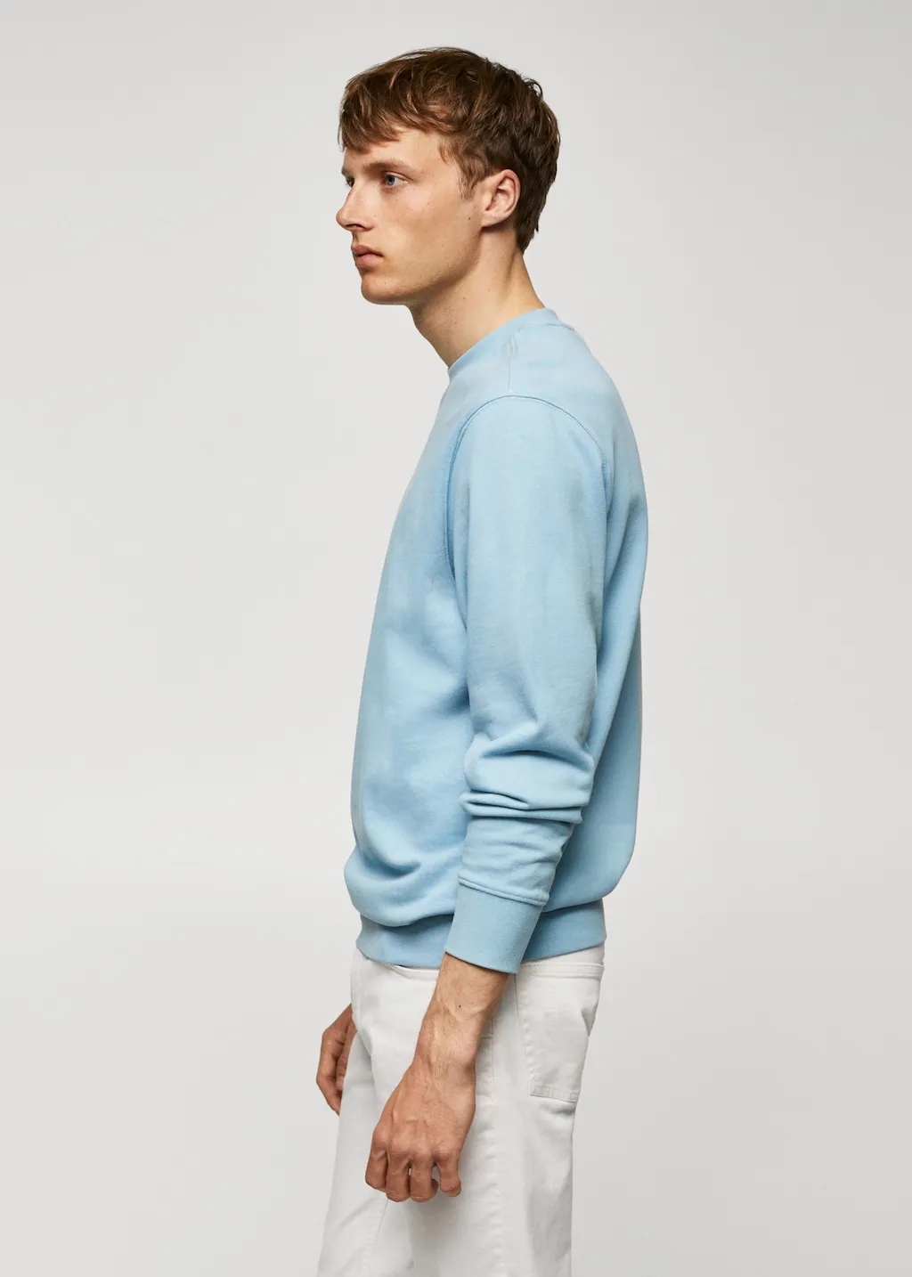 Felpa basic 100% cotone