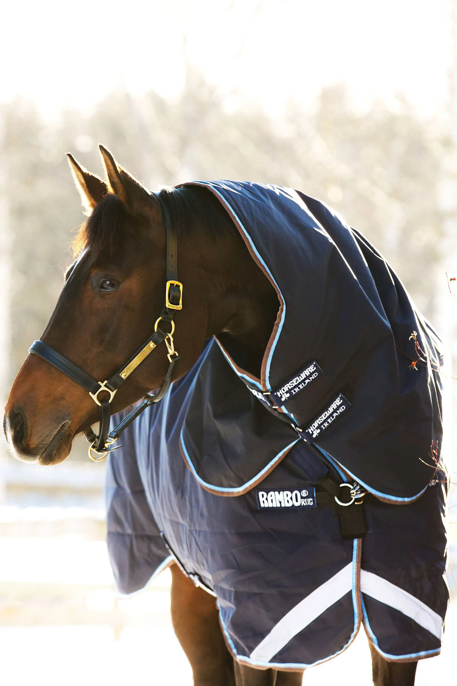 Horseware Rambo Duo Turnout incl. Cappuccio staccabile, 100 g