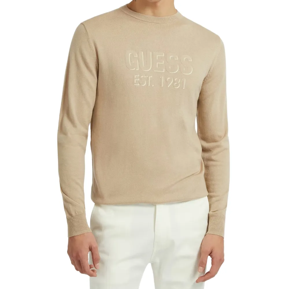 Maglione Guess logo frontale