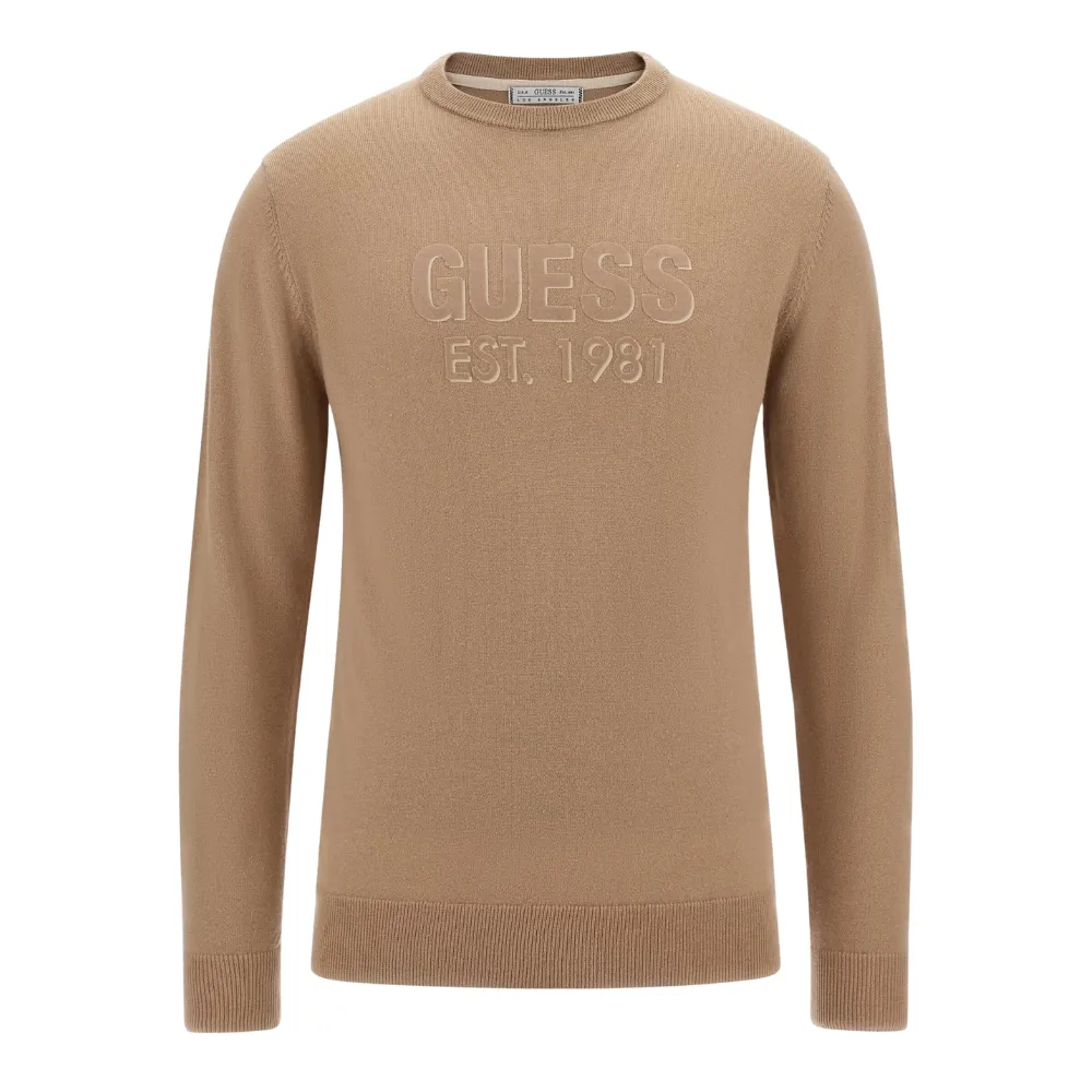 Maglione Guess logo frontale